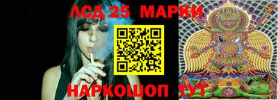 гашик Ливны