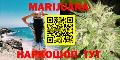 гашик Ливны