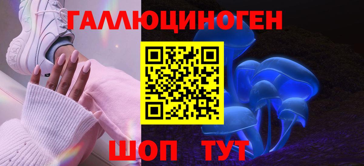 Галлюциногенные грибы Psilocybine cubensis Дедовск