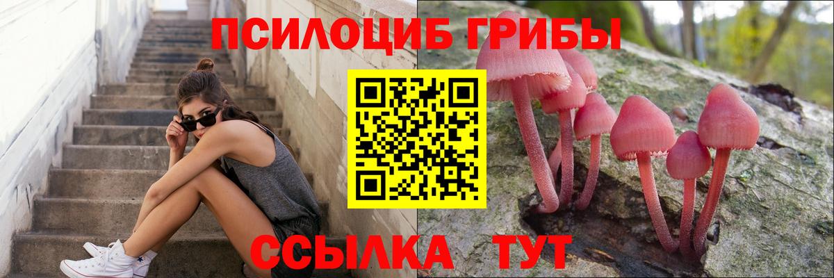 Галлюциногенные грибы ЛСД  Вход с VPN  Дедовск 